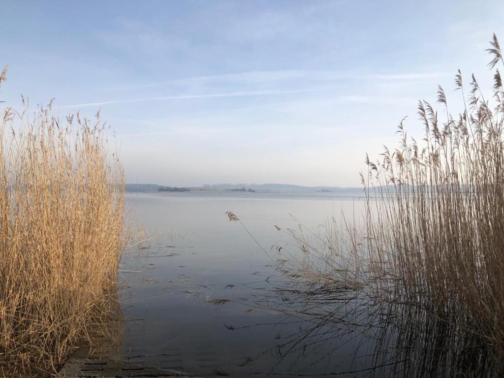 Ferienwohnung Seeblick - Insel Usedom Balm Exteriör bild