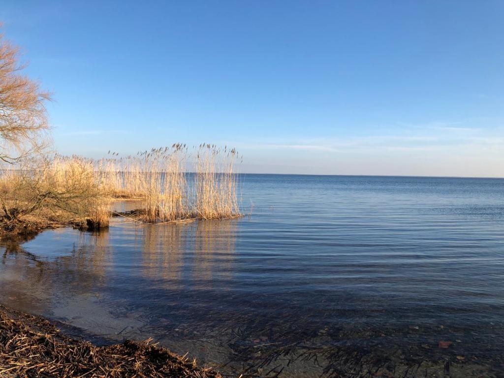 Ferienwohnung Seeblick - Insel Usedom Balm Exteriör bild