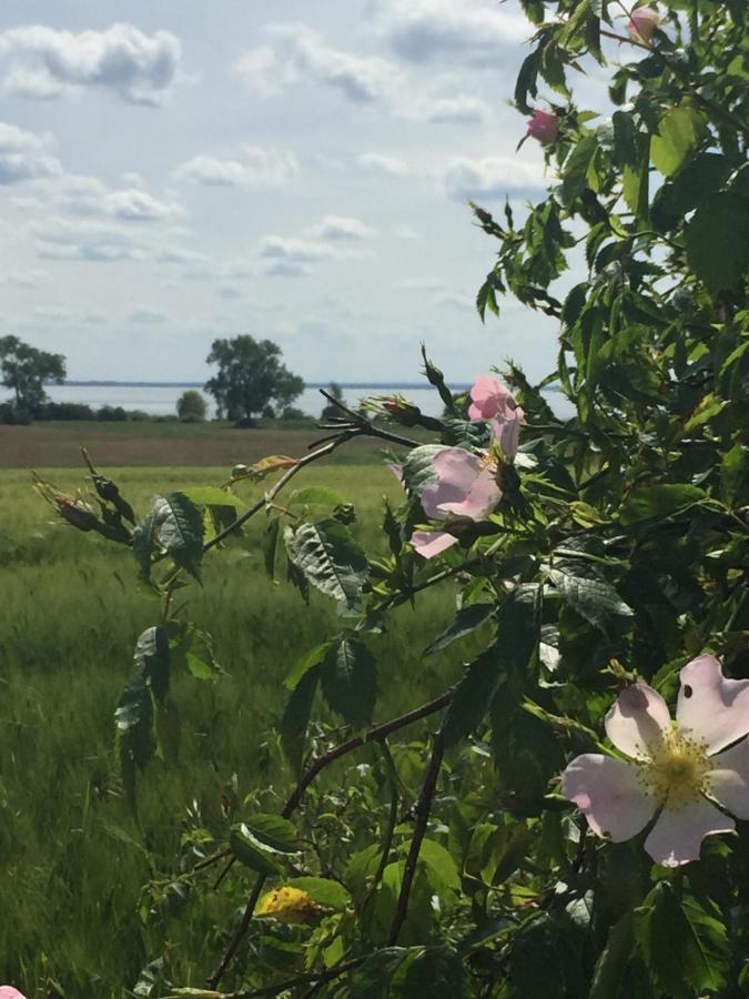 Ferienwohnung Seeblick - Insel Usedom Balm Exteriör bild