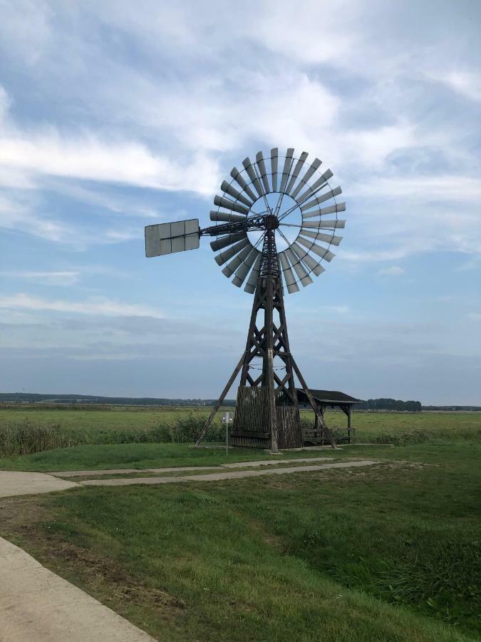 Ferienwohnung Seeblick - Insel Usedom Balm Exteriör bild